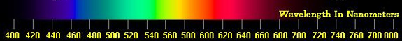 The Visible Light Spectrum with Wavelengths